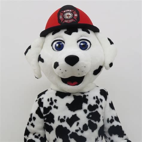 Dalmatian mascot gear